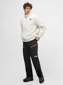 Штаны спортивные The North Face Dawn  модель NF0A827WOE41 Фото