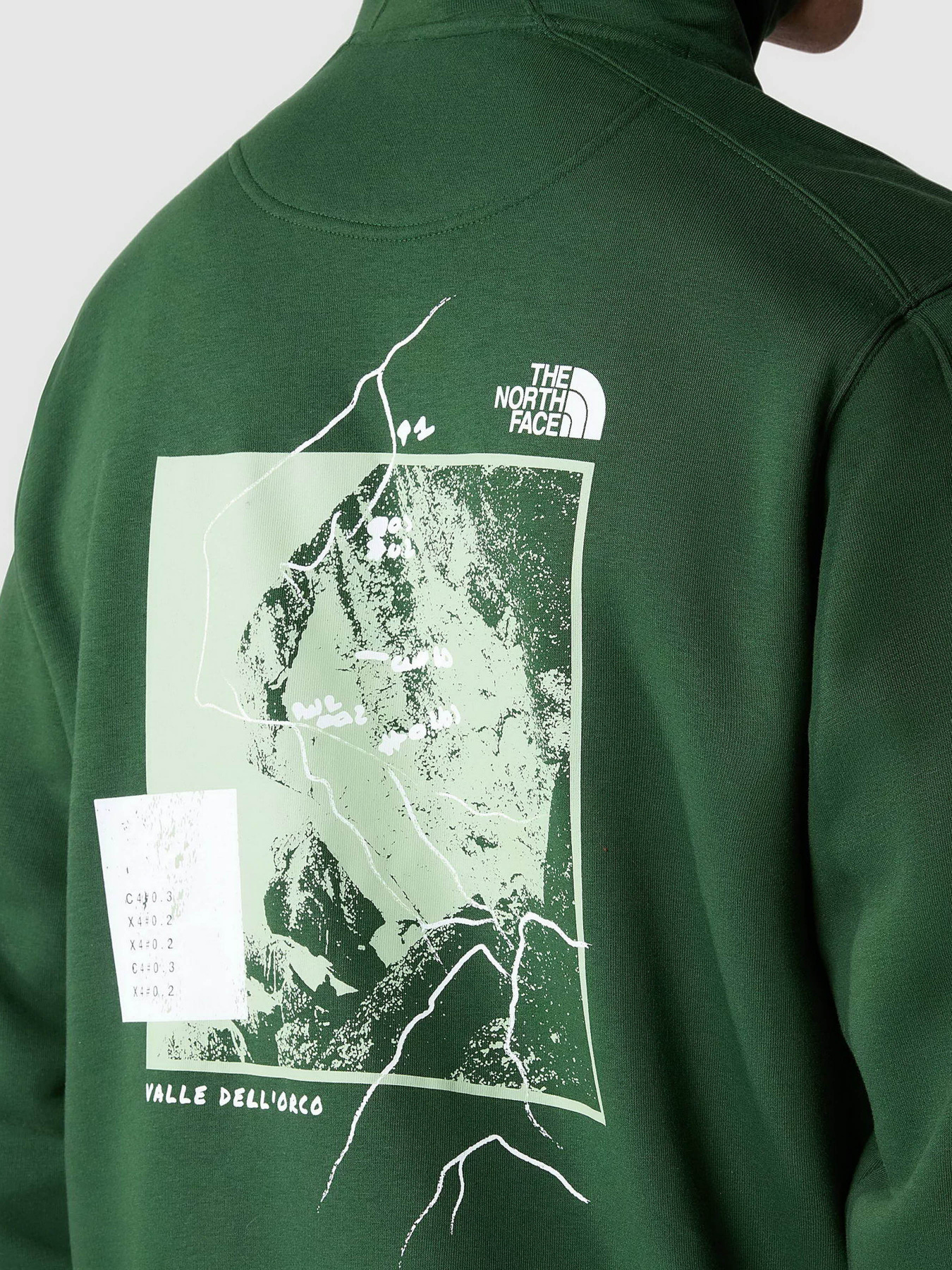 Худи The North Face Outdoor Graphic модель NF0A8522I0P1 Фото