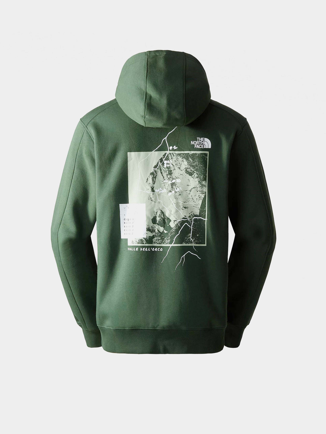 Худи The North Face Outdoor Graphic модель NF0A8522I0P1 Фото