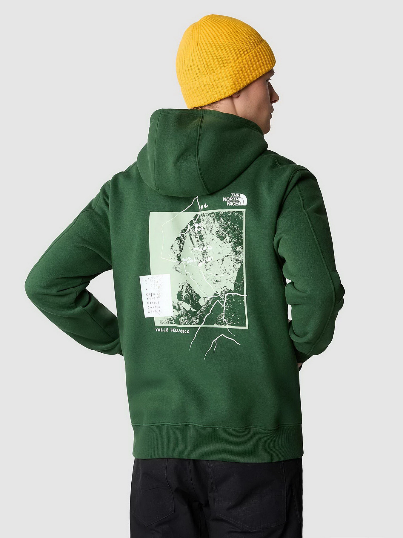 Худи The North Face Outdoor Graphic модель NF0A8522I0P1 Фото