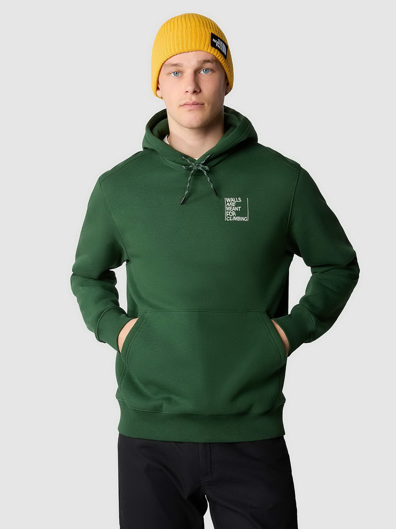 Худи The North Face Outdoor Graphic модель NF0A8522I0P1 Фото