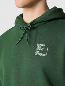 Худи The North Face Outdoor Graphic модель NF0A8522I0P1 Фото