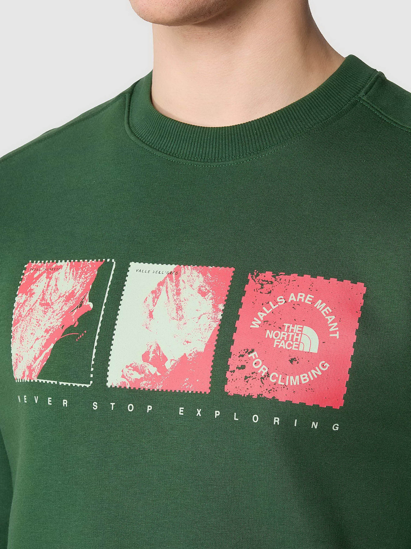 Свитшот The North Face Outdoor Graphic Crew модель NF0A8523I0P1 Фото