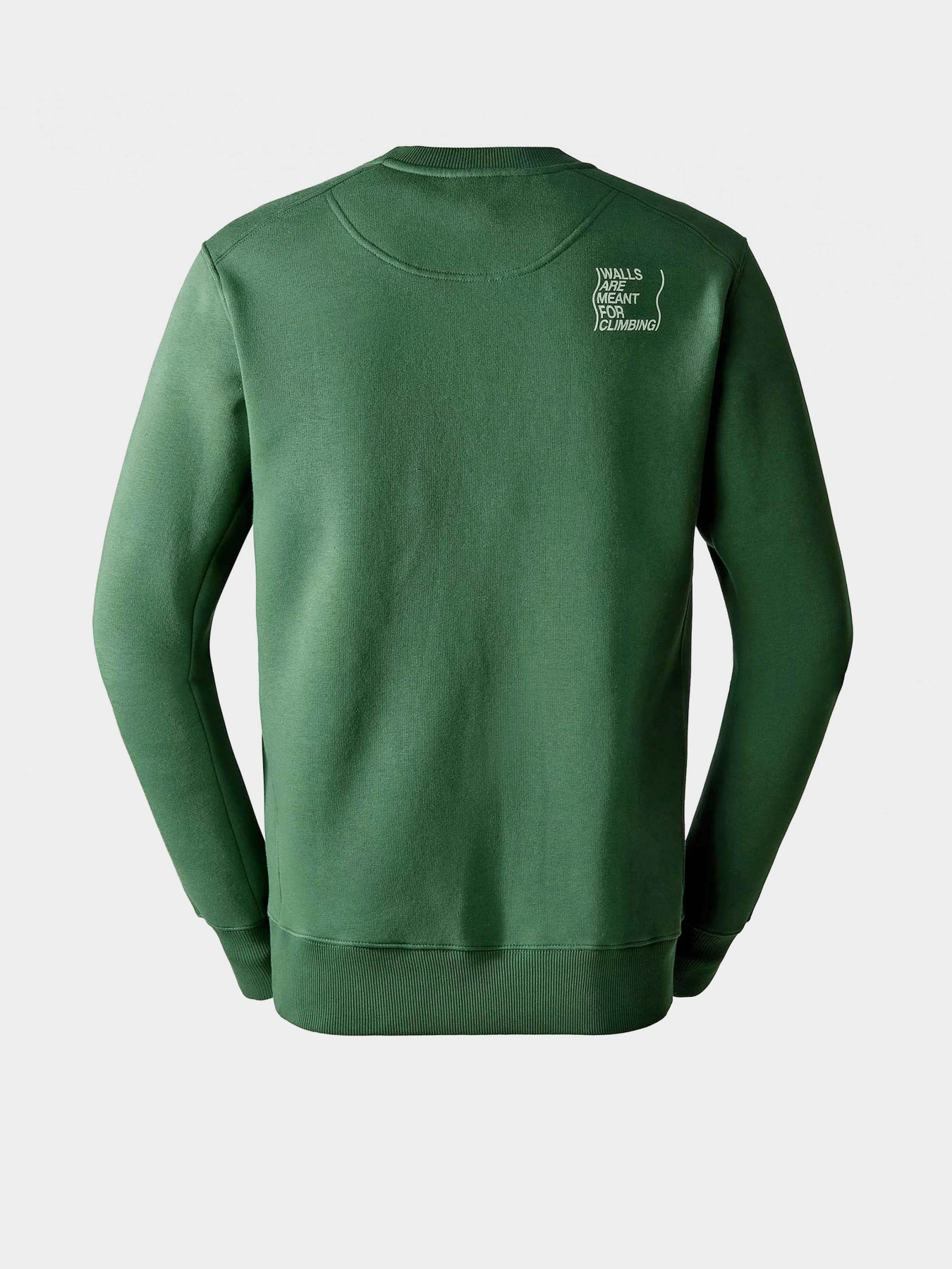 Свитшот The North Face Outdoor Graphic Crew модель NF0A8523I0P1 Фото