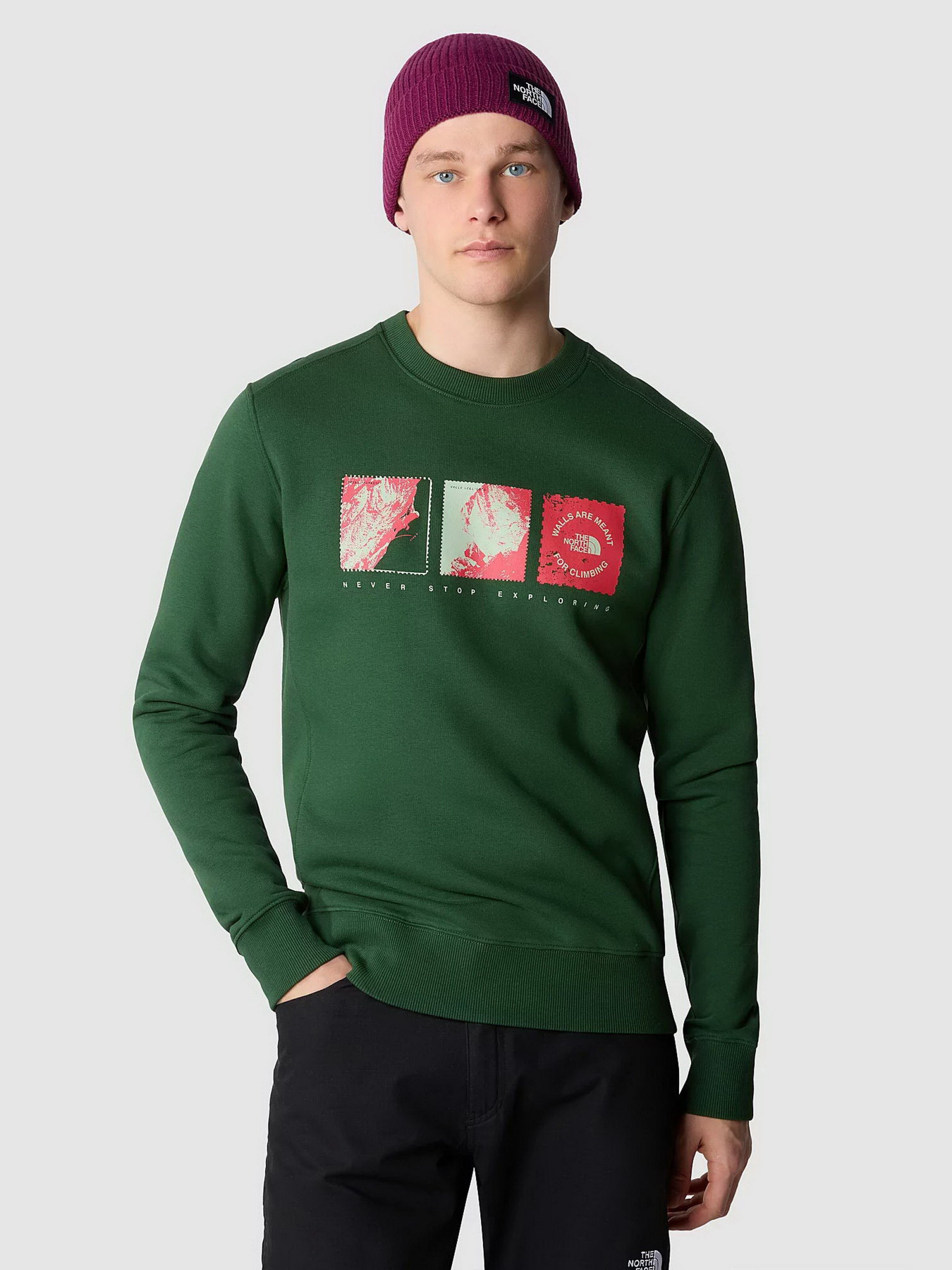 Свитшот The North Face Outdoor Graphic Crew модель NF0A8523I0P1 Фото