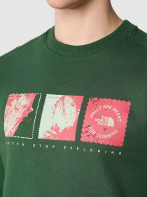 Свитшот The North Face Outdoor Graphic Crew модель NF0A8523I0P1 Фото