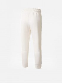 Штаны спортивные The North Face CANYONLANDS модель NF0A5GCBR8R1 Фото