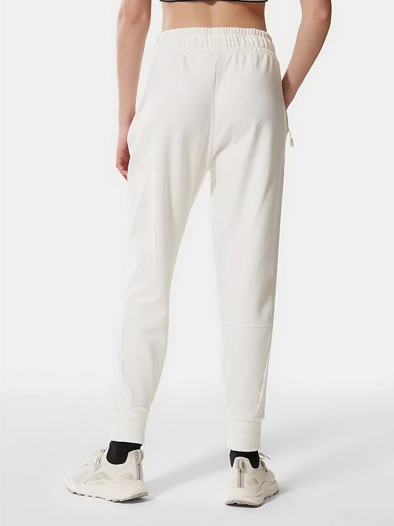 Штаны спортивные The North Face CANYONLANDS модель NF0A5GCBR8R1 Фото