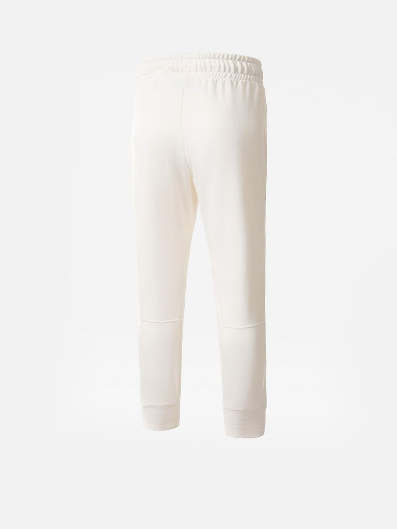 Штаны спортивные The North Face CANYONLANDS модель NF0A5GCBR8R1 Фото