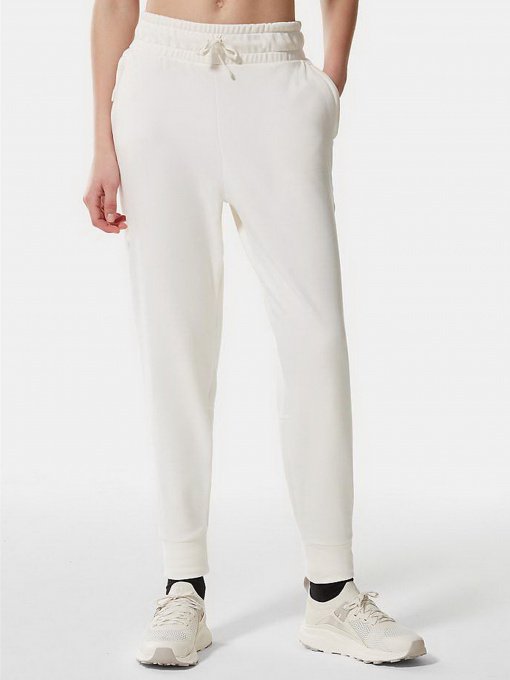 Штаны спортивные The North Face CANYONLANDS модель NF0A5GCBR8R1 Фото