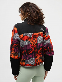 Кофта The North Face Cragmont модель NF0A84IEOT21 Фото