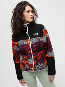 Кофта The North Face Cragmont модель NF0A84IEOT21 Фото