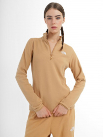 Кофта The North Face 100 GLACIER 1/4 ZIP модель NF0A855MI0J1 Фото