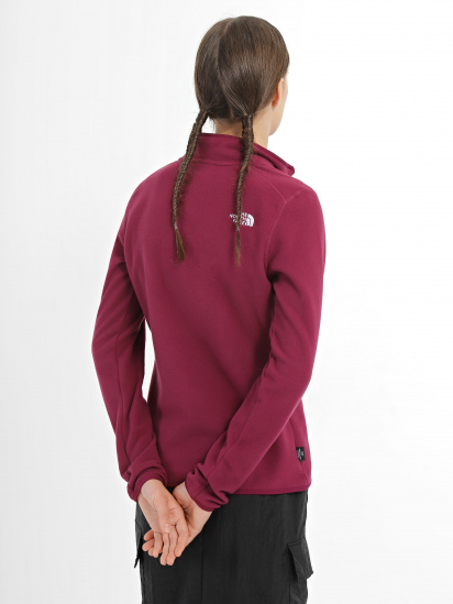 Кофта The North Face 100 GLACIER 1/4 ZIP модель NF0A855MI0H1 — фото 3 - INTERTOP