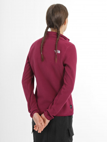 Кофта The North Face 100 GLACIER 1/4 ZIP модель NF0A855MI0H1 Фото