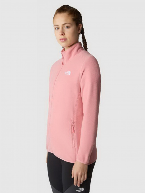 The North Face модель NF0A855OI0R1 Фото