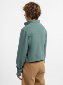 Кофта The North Face 100 Glacier Модель NF0A855PI0F1 Фото