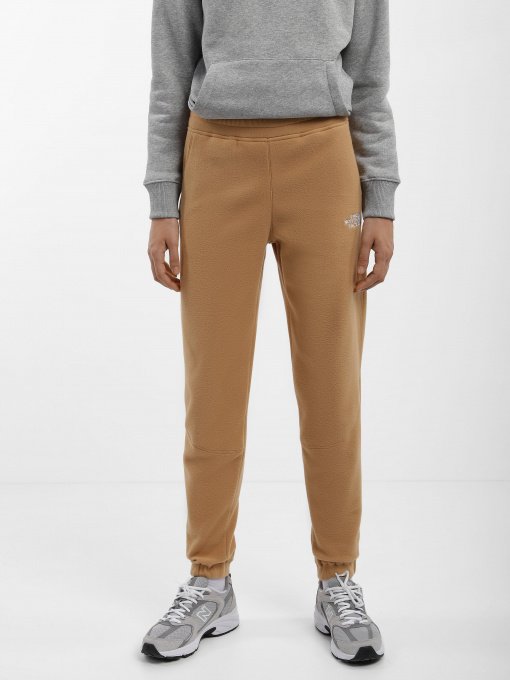 Спортивні штани The North Face 100 Glacier модель NF0A855QI0J1 Фото