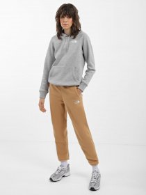 Штаны спортивные The North Face 100 Glacier модель NF0A855QI0J1 Фото