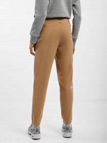 Штаны спортивные The North Face 100 Glacier модель NF0A855QI0J1 Фото