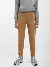 Штаны спортивные The North Face 100 Glacier модель NF0A855QI0J1 Фото