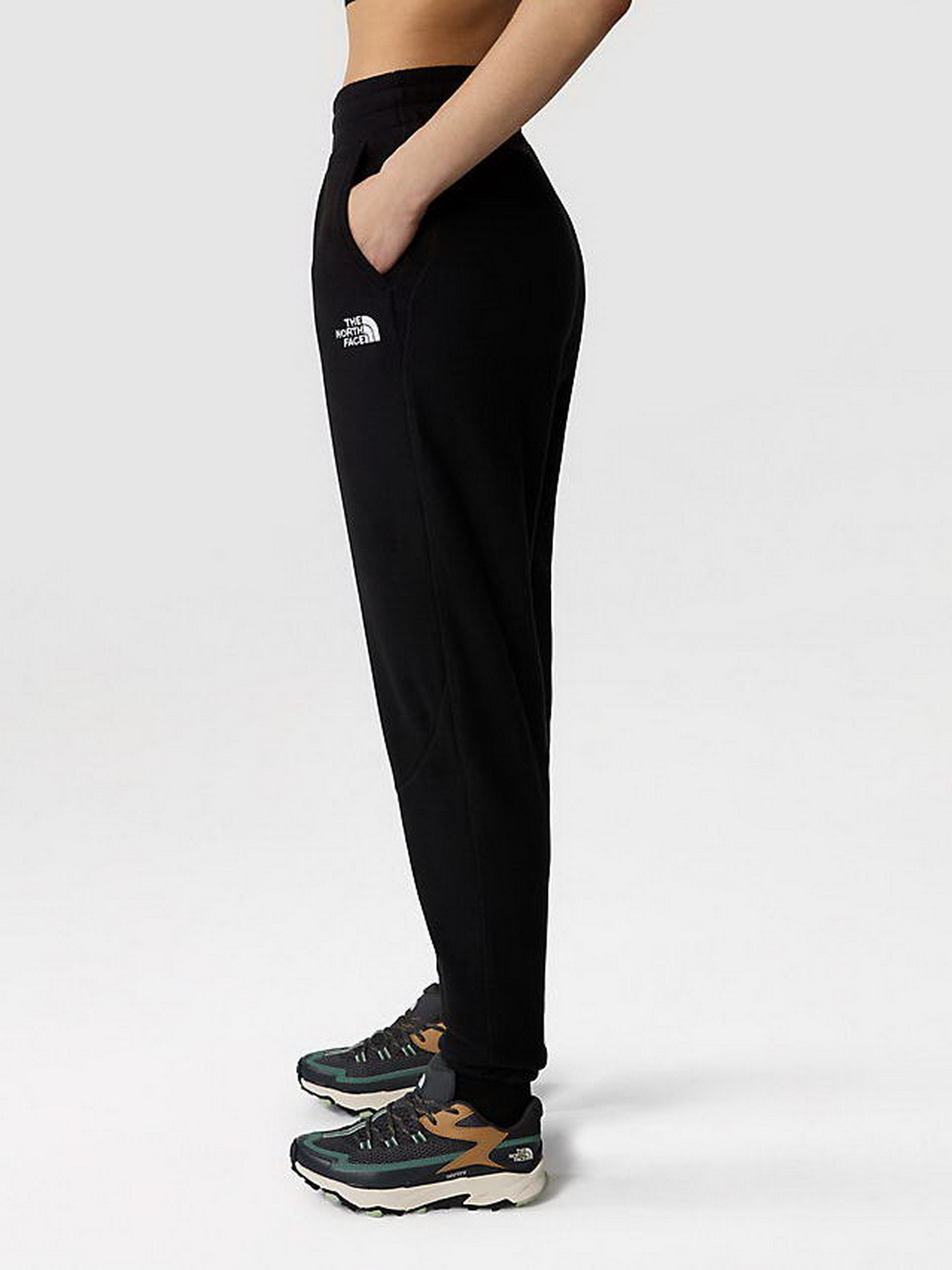 Штаны спортивные The North Face 100 Glacier модель NF0A855QJK31 Фото