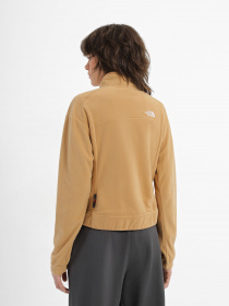 Кофта The North Face Homesafe Snap Neck Fleece модель NF0A8565I0J1 Фото