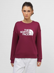 Свитшот The North Face Drew Peak Crew модель NF0A3S4GI0H1 Фото