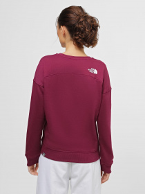 Свитшот The North Face Drew Peak Crew модель NF0A3S4GI0H1 Фото