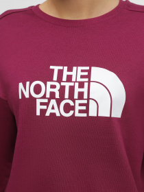 Свитшот The North Face Drew Peak Crew модель NF0A3S4GI0H1 Фото