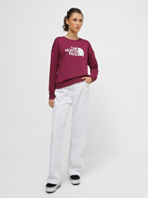 Свитшот The North Face Drew Peak Crew модель NF0A3S4GI0H1 Фото