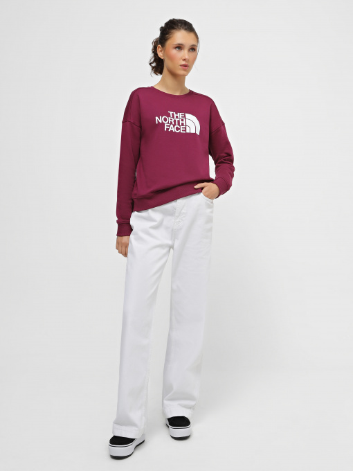 Свитшот The North Face Drew Peak Crew модель NF0A3S4GI0H1 Фото