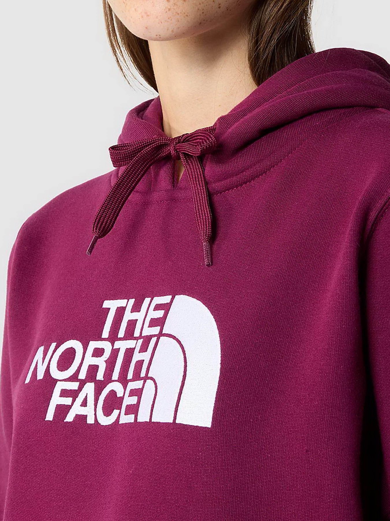 Худи The North Face Drew Peak модель NF0A55ECI0H1 Фото