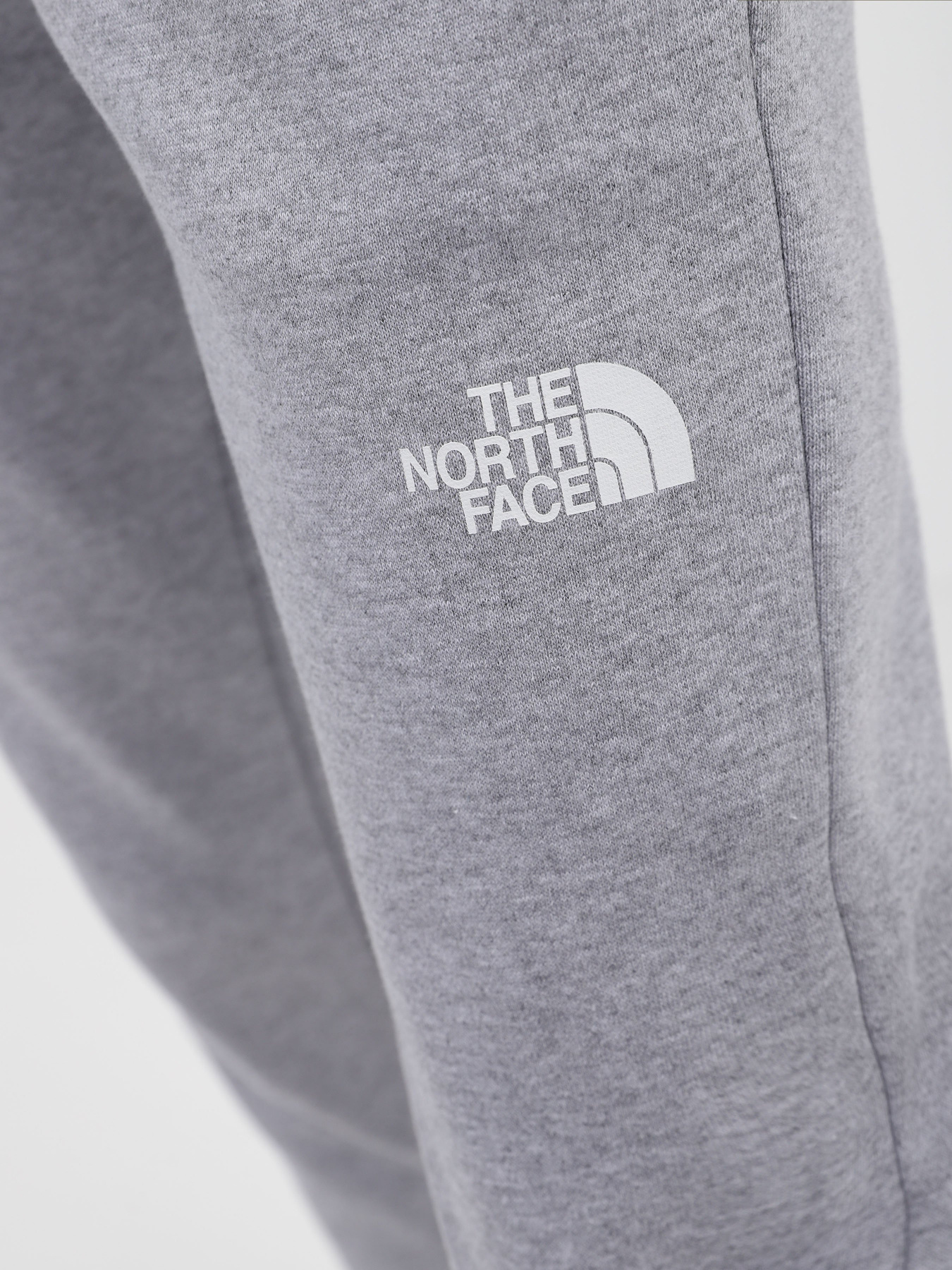 Штаны спортивные The North Face Logo Printed Drawstring модель NF0A5ID4DYX1 Фото