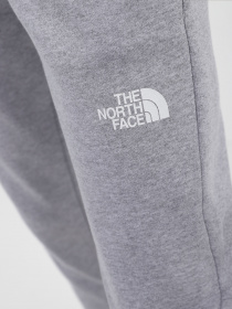 Штаны спортивные The North Face Logo Printed Drawstring модель NF0A5ID4DYX1 Фото