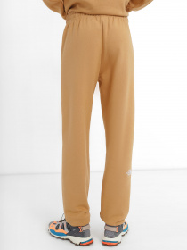 Спортивні штани The North Face Essential модель NF0A7ZJFI0J1 Фото