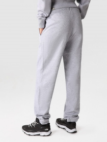 Штаны спортивные The North Face Essential Sweat модель NF0A7ZJFDYX1 Фото