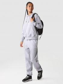 Штаны спортивные The North Face Essential Sweat модель NF0A7ZJFDYX1 Фото