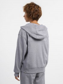 Кофта The North Face Essential FZ модель NF0A853VDYX1 Фото