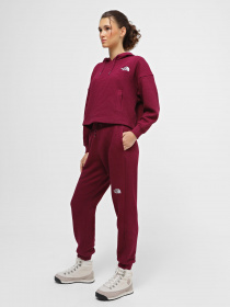 Худі The North Face Mhysa модель NF0A853WI0H1 Фото