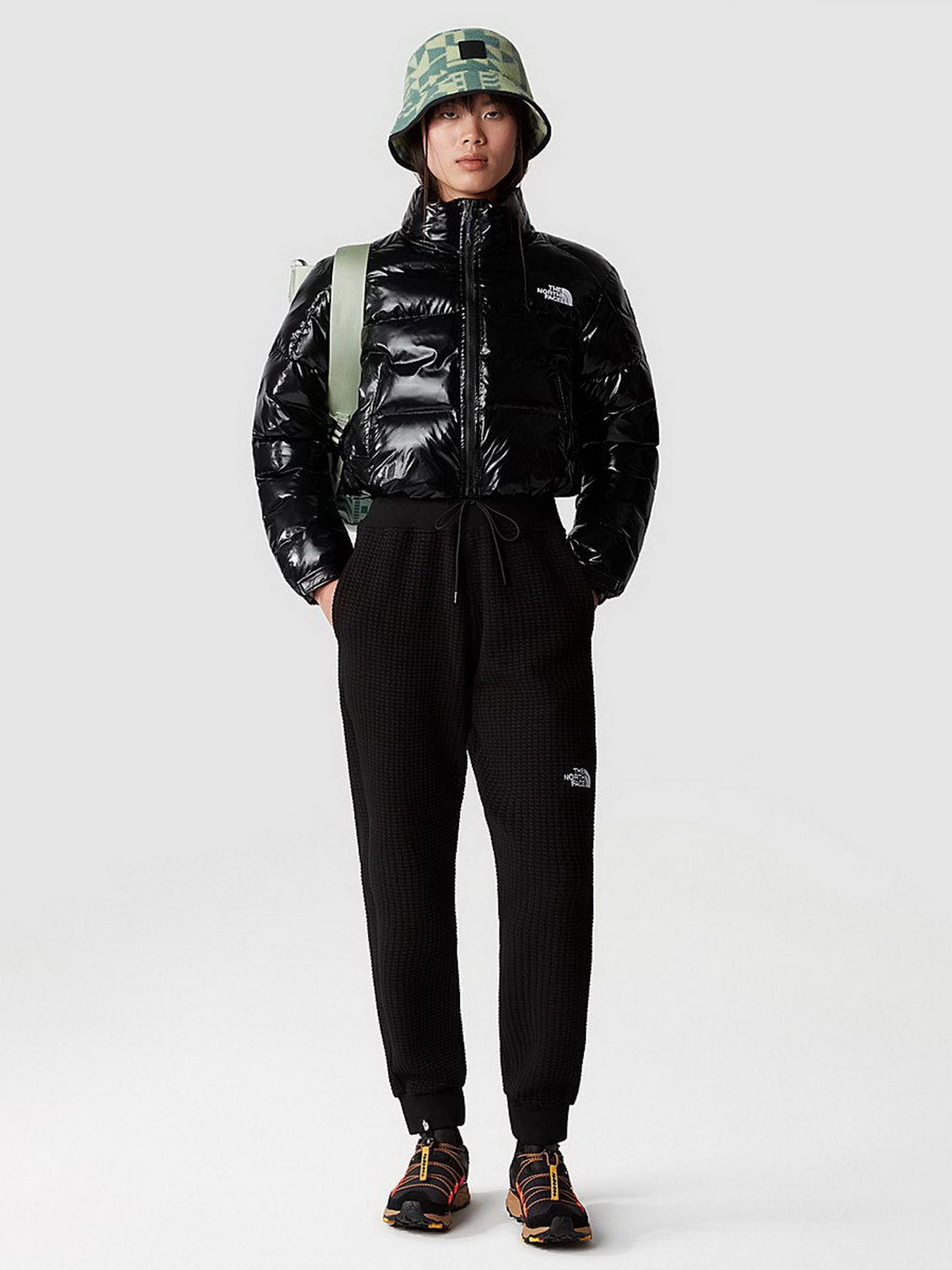 Штаны спортивные The North Face W Mhysa Pant модель NF0A853YJK31 Фото