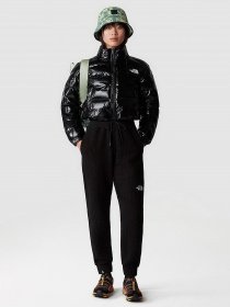 Штаны спортивные The North Face W Mhysa Pant модель NF0A853YJK31 Фото