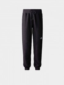 Штаны спортивные The North Face W Mhysa Pant модель NF0A853YJK31 Фото