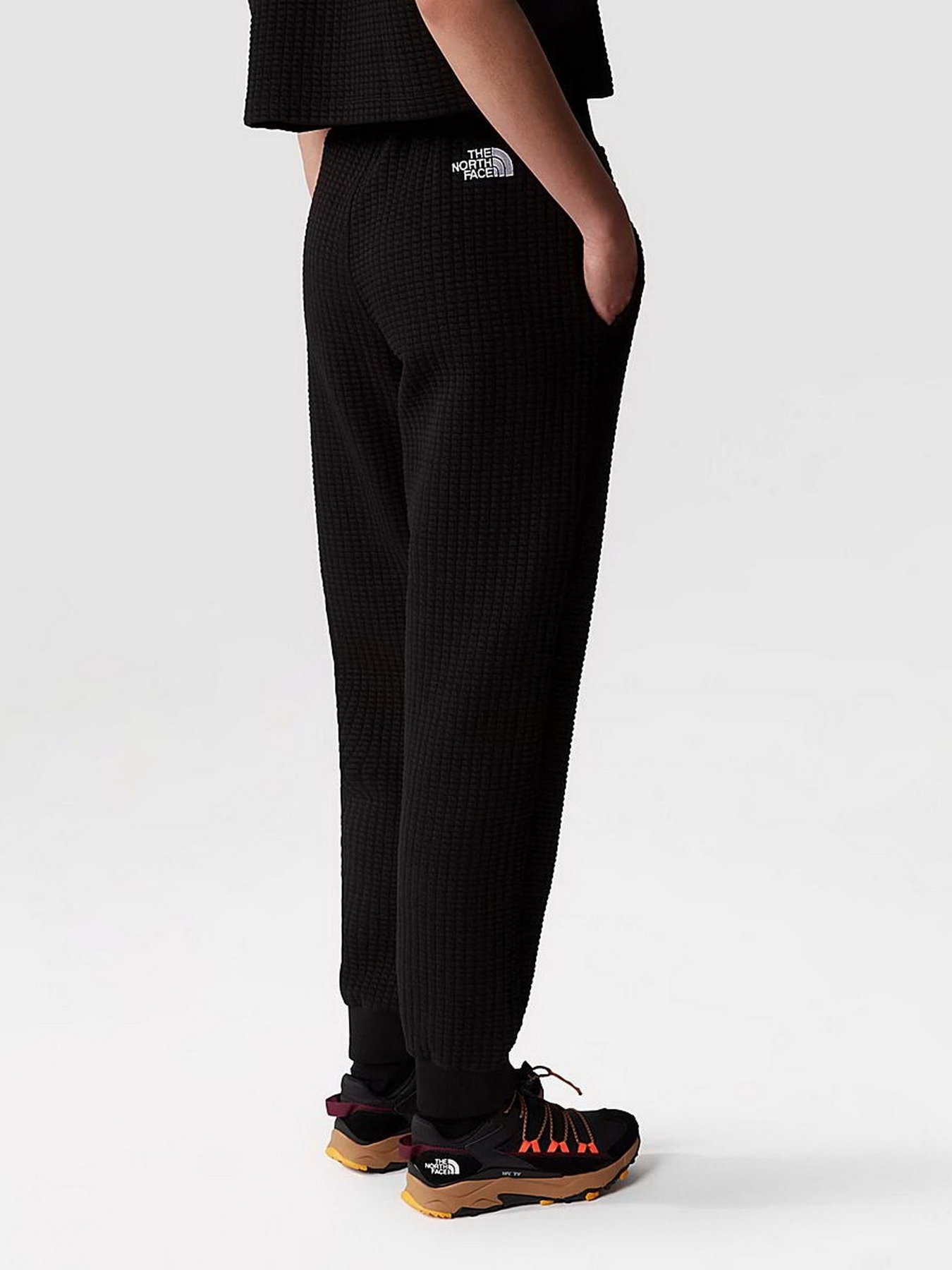 Штаны спортивные The North Face W Mhysa Pant модель NF0A853YJK31 Фото
