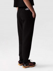 Штаны спортивные The North Face W Mhysa Pant модель NF0A853YJK31 Фото