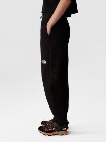 Штаны спортивные The North Face W Mhysa Pant модель NF0A853YJK31 Фото