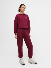 Штаны спортивные The North Face Mhysa модель NF0A853YI0H1 Фото