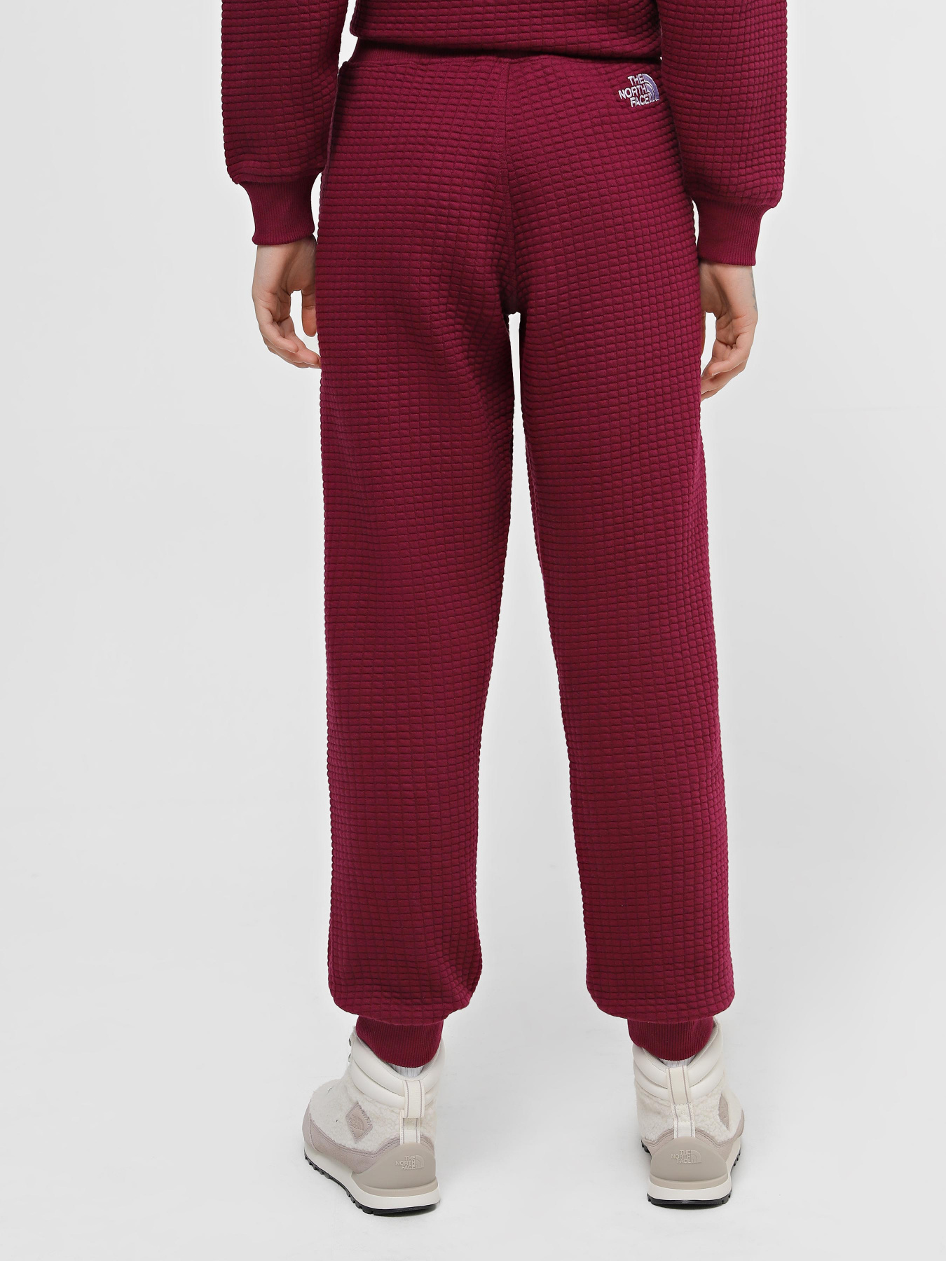 Спортивні штани The North Face Mhysa модель NF0A853YI0H1 Фото