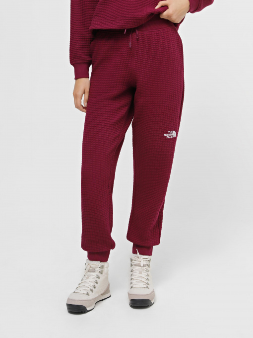 Штаны спортивные The North Face Mhysa модель NF0A853YI0H1 Фото