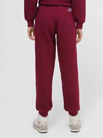 Спортивні штани The North Face Mhysa модель NF0A853YI0H1 Фото